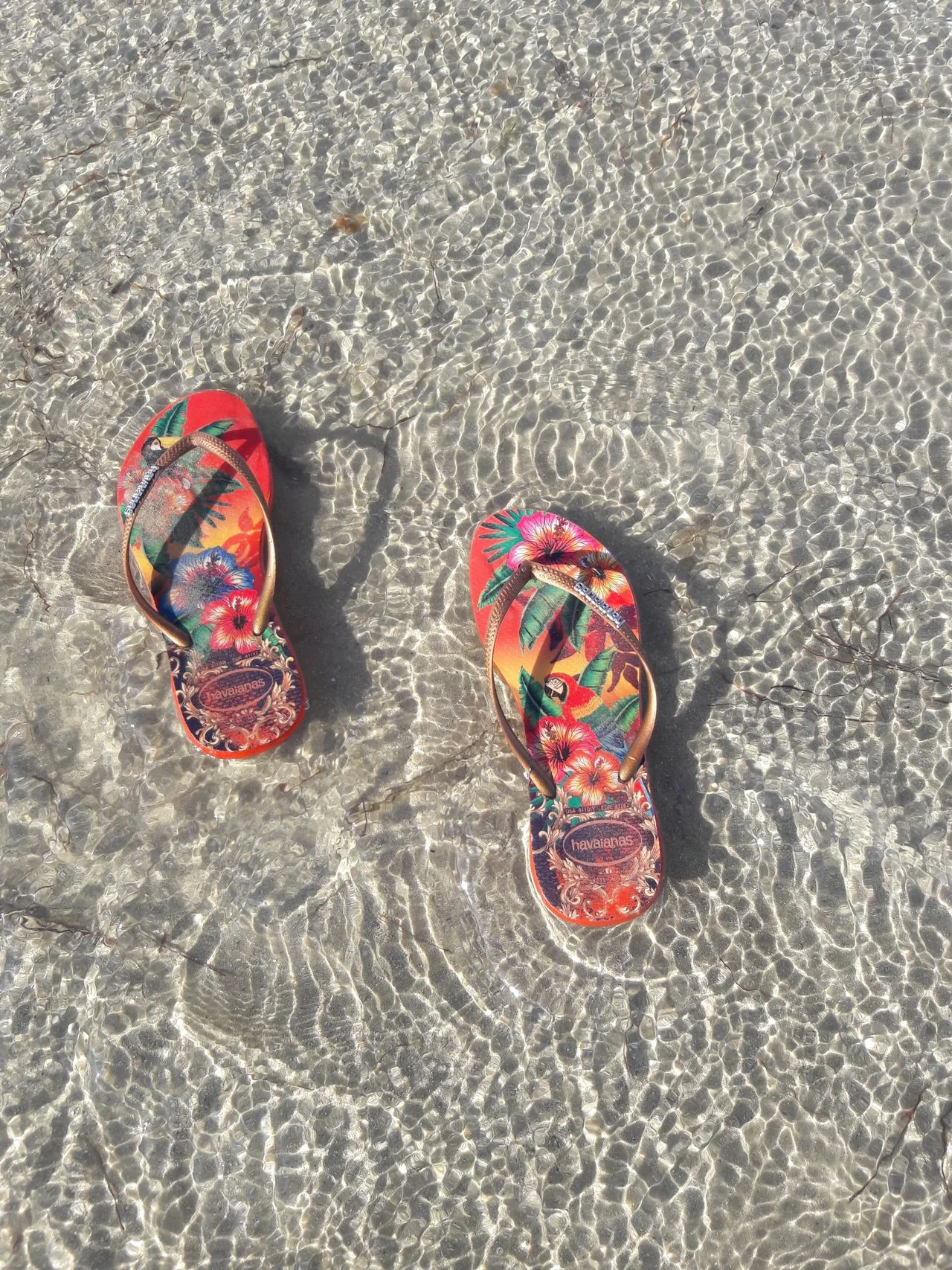 beach footwear